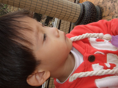 DSCF7782.JPG