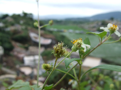 DSCF7792.JPG