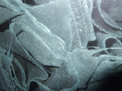 DSCF7810.JPG