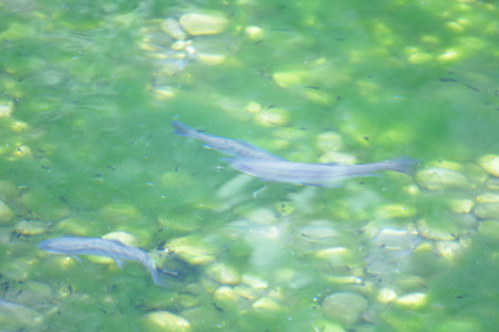 DSC07159.JPG