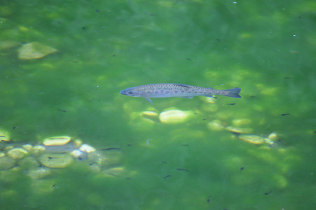 DSC07167.JPG