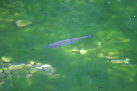 DSC07168.JPG