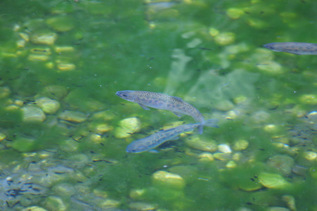 DSC07170.JPG