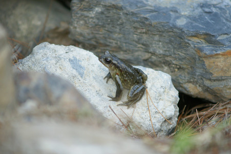 DSC07173.JPG