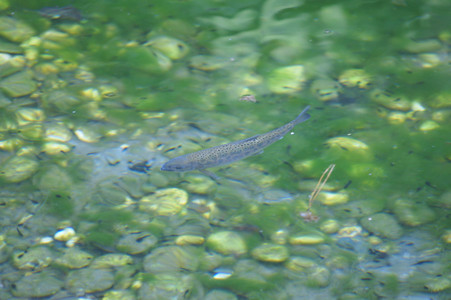 DSC07196.JPG