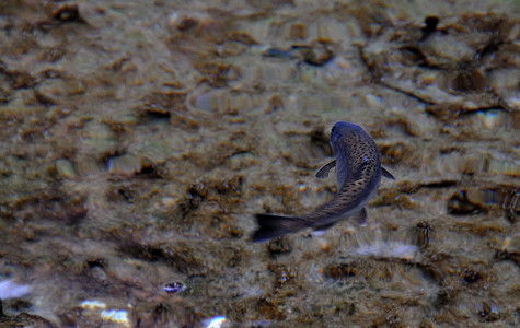 DSC_8259.jpg