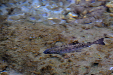 DSC_8260.jpg
