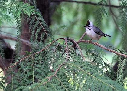 DSC_8365.jpg