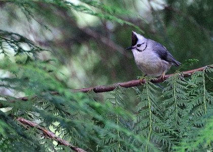 DSC_8376.jpg