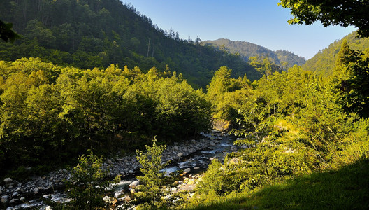 DSC_8383.jpg