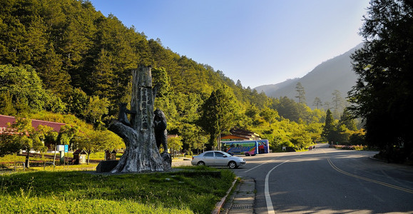 DSC_8390.jpg