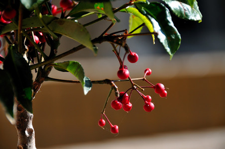 DSC_8400.jpg