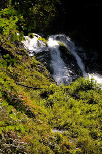 DSC_8439.jpg