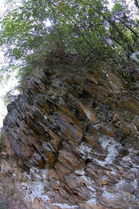 _DSC3744.jpg