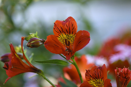 ___DSC3675.jpg