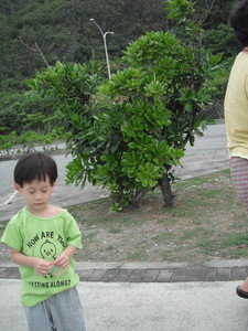DSCF0357.JPG