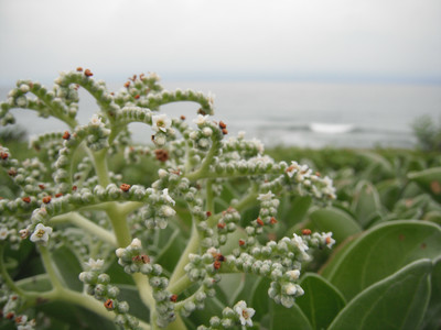 DSCF0359.JPG