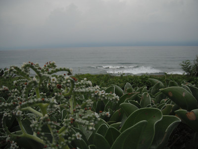 DSCF0360.JPG