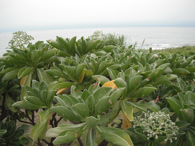 DSCF0372.JPG