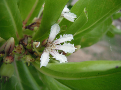 DSCF0374.JPG