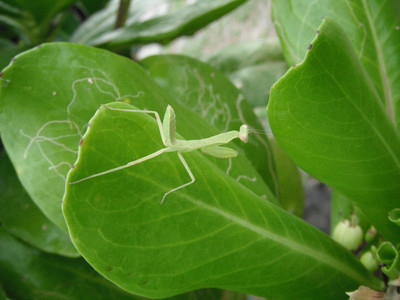DSCF0376.JPG