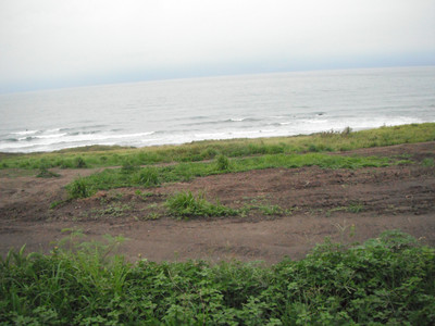 DSCF0379.JPG