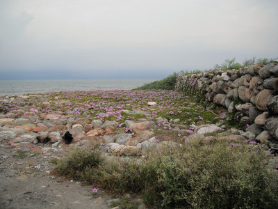 DSCF0383.JPG