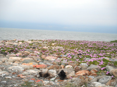 DSCF0384.JPG