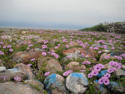 DSCF0385.JPG