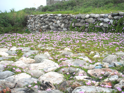 DSCF0391.JPG