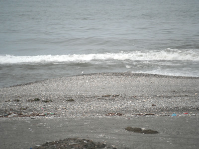 DSCF0392.JPG