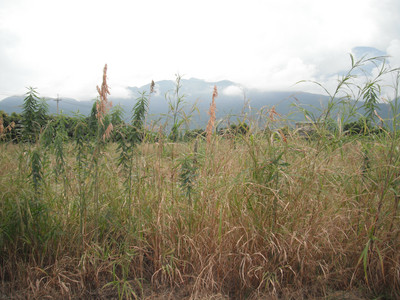DSCF0408.JPG