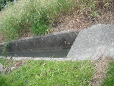 DSCF0409.JPG