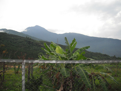 DSCF0411.JPG