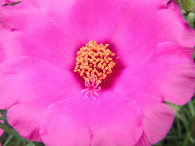 DSCF0413.JPG