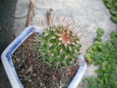 DSCF0417.JPG