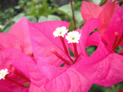 DSCF0422.JPG