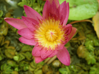 DSCF0445.JPG