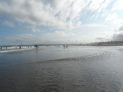 SAM_0445.JPG