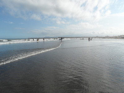 SAM_0446.JPG