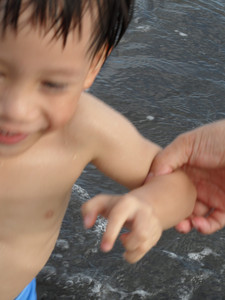 SAM_0459.JPG