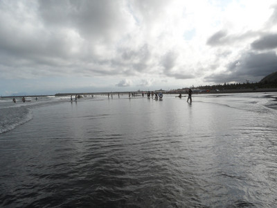 SAM_0483.JPG