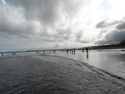 SAM_0486.JPG