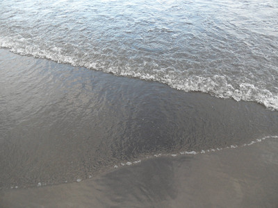 SAM_0516.JPG