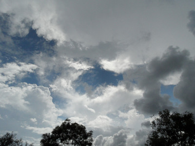 SAM_0549.JPG