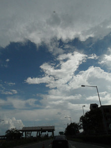SAM_0555.JPG