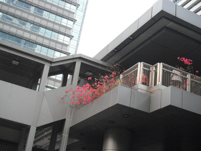 DSCF2093.JPG