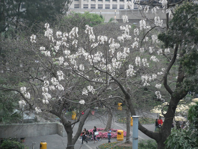 DSCF2096.JPG