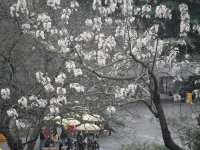 DSCF2098.JPG
