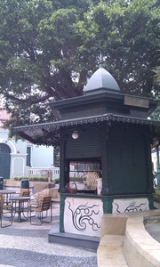 IMAG0049.jpg